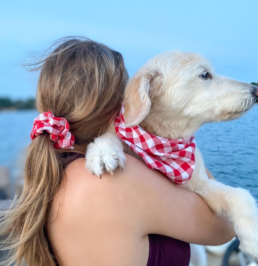 Handmade LA Dodgers Dog Bandana matching with owner. Hound and Friends